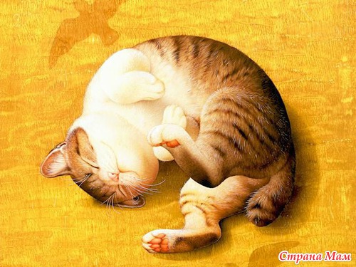  Makoto Muramatsu - 3.