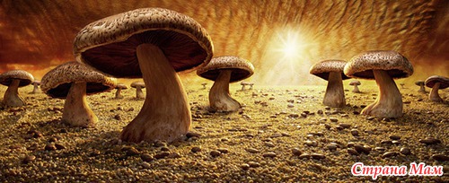 Фантазийные съедобные пейзажи
