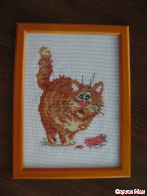 Мои кошаки:)