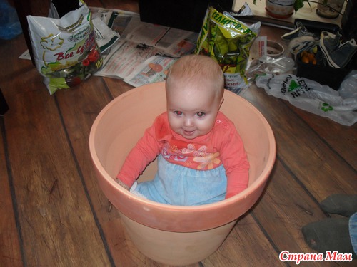 � ������� �������� ����!