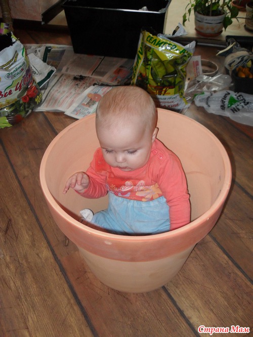 � ������� �������� ����!