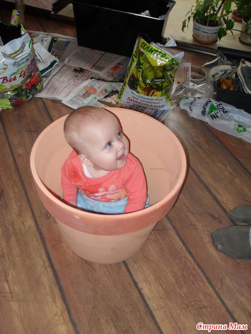 � ������� �������� ����!