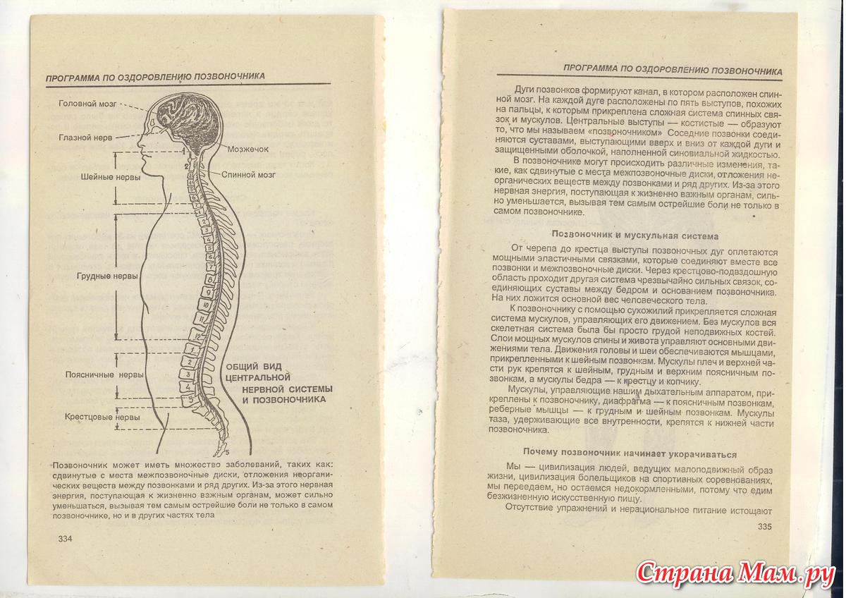 Секреты хребта. Программа Spine позвоночник. Авторские системы оздоровления позвоночника. Энергия в основании позвоночника. Система оздоровления позвоночника с известным автором.