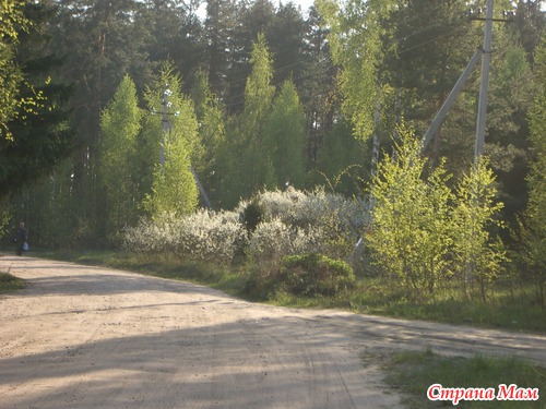 Поздняя весна