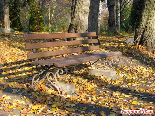 В Ботаническом саду