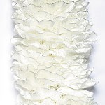  561 