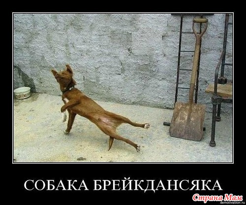  )))