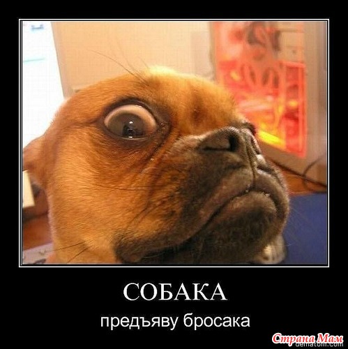  )))