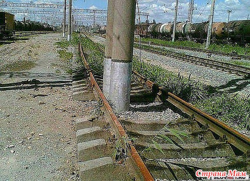ВЕСЁЛЫЙ РАКУРС!