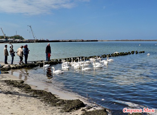 ОТДЫХ НА БАЛТИЙСКОМ МОРЕ