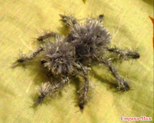 Паук
