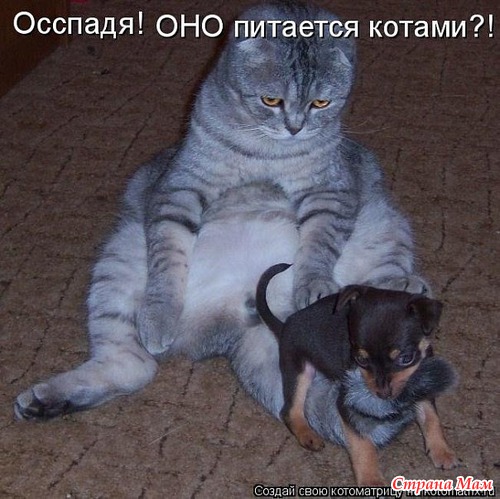 ,  )))