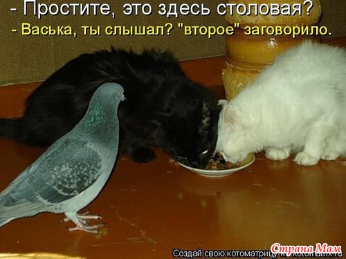 ,  )))