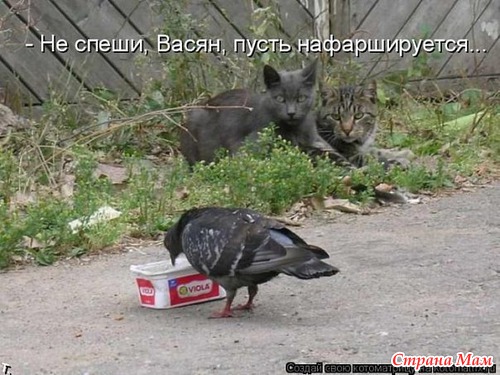 ,  )))