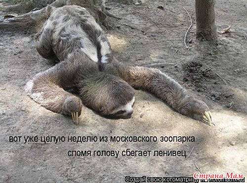 ,  )))