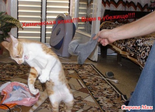 ,  )))
