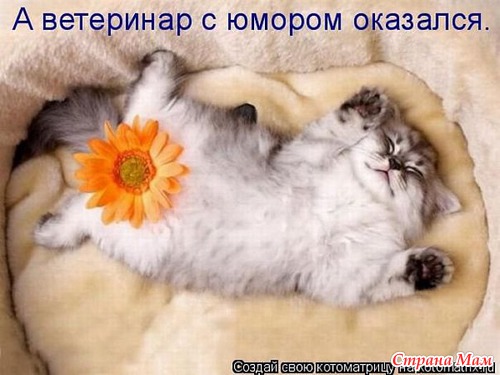 ,  )))