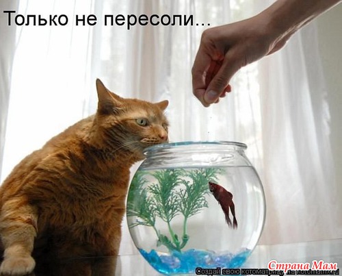 ,  )))