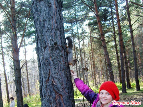Как мы провели выходные