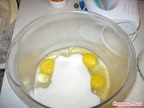 Моя любимая зебра.