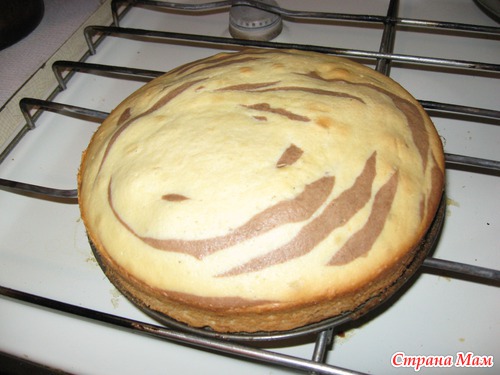 Моя любимая зебра.