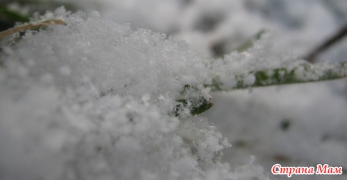 Первый снег 2011