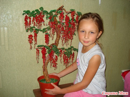 Мега Глициния)))
