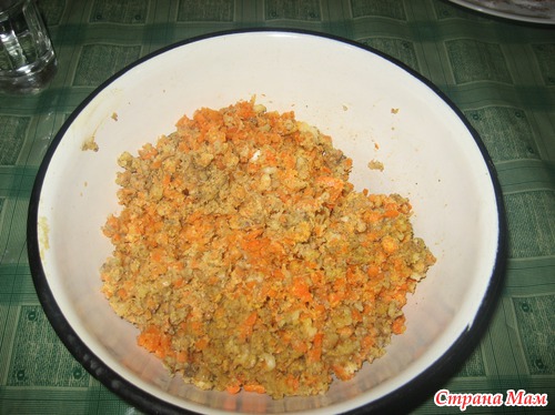 �������-������ �������-���������