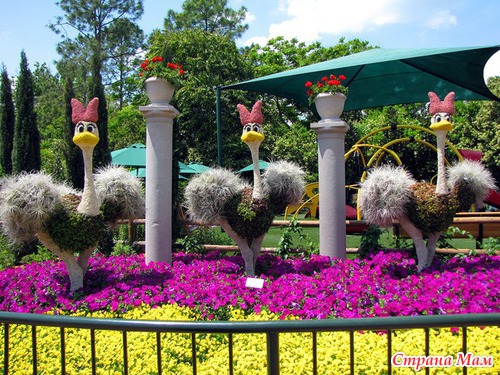 Фестиваль цветов в Диснейленде - парк EPCOT