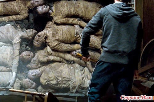 Призраки в Коннектикуте/The Haunting in Connecticut (2009)