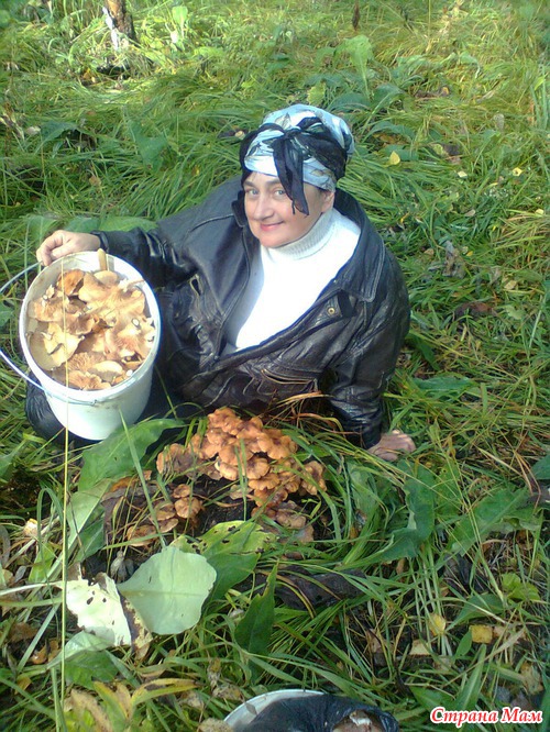 Кто со мной??? за опятами???