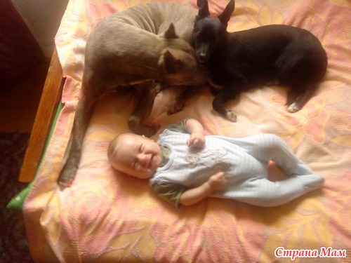 Коровица и Кулёк