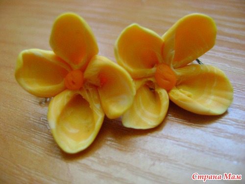 Серьги