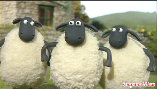  Shaun the sheep