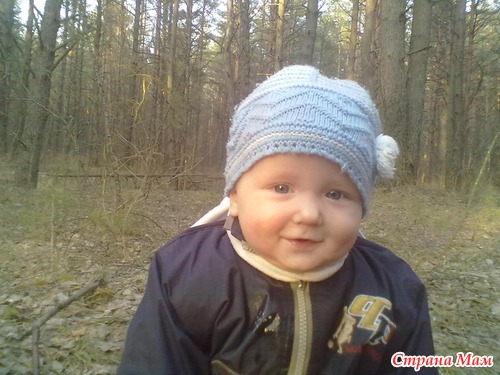 Мы и лес