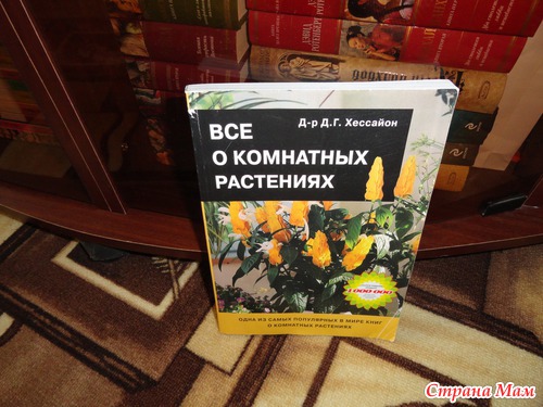 В НАШЕМ ДОМЕ ПОЯВИЛСЯ... НЕОПОЗНАННЫЙ ОБЪЕКТ
