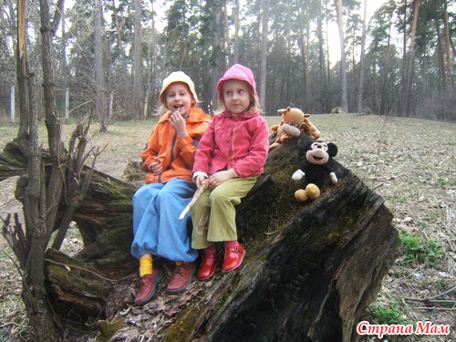 Погуляли в роще.