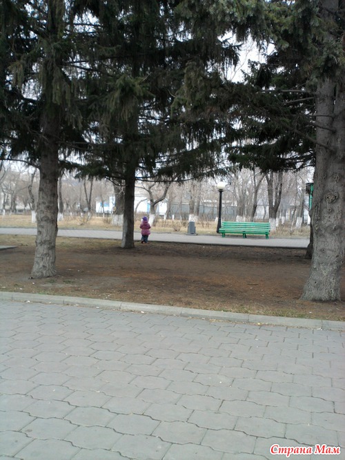 Муж, ребенок и фотоаппарат