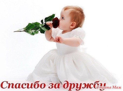 А у меня Новый год!!! Не китайский!!! А наш!!! Самый настоящий!!!