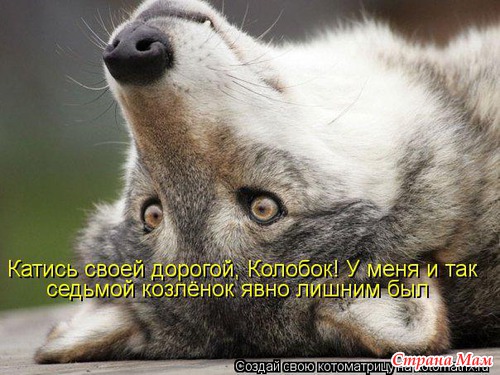 Немного позитива (мои любимые котоматрицы)