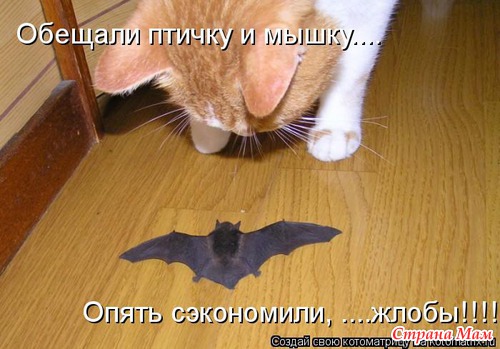 Немного позитива (мои любимые котоматрицы)