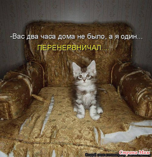 Немного позитива (мои любимые котоматрицы)