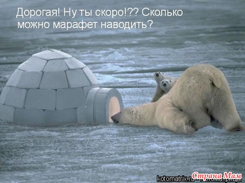 Немного позитива (мои любимые котоматрицы)