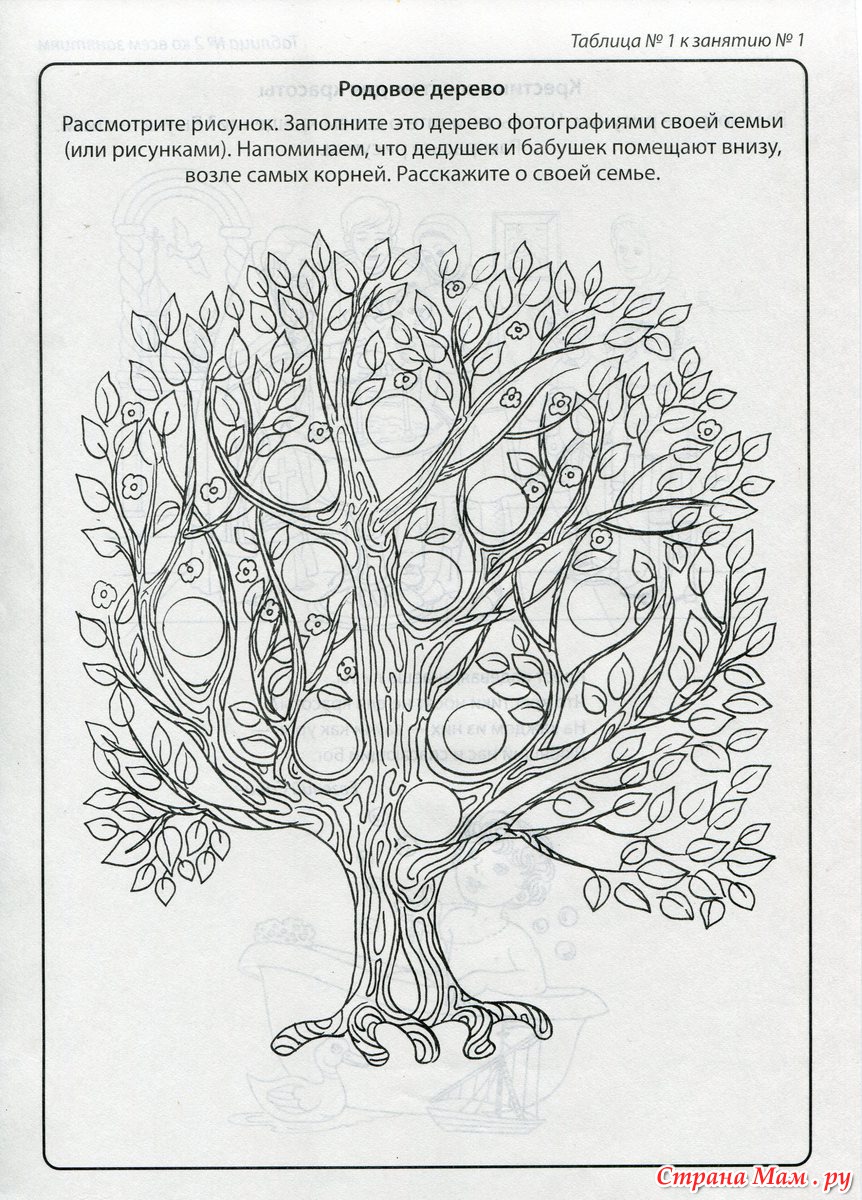 Рассмотрите дерево поближе и вы заметите. Заполняющие рисунки. Родовое дерево рассмотрите рисунок заполните это дерево. Схема вышивки родового дерева. Картинки род деревьев с анкетой.
