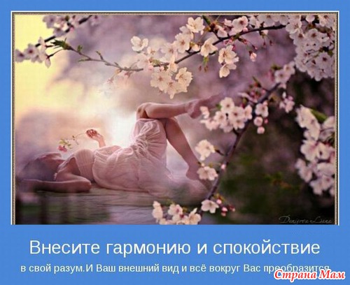 МОТИВАТОРЫ!!!