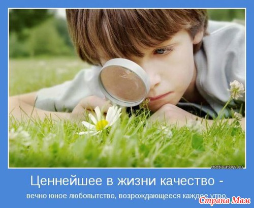 МОТИВАТОРЫ!!!