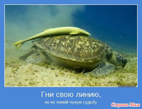 МОТИВАТОРЫ!!!