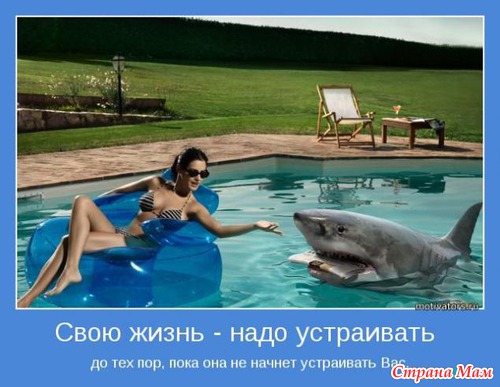 МОТИВАТОРЫ!!!