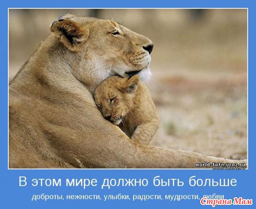 МОТИВАТОРЫ!!!