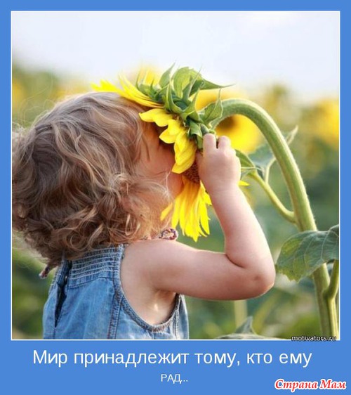 МОТИВАТОРЫ!!!